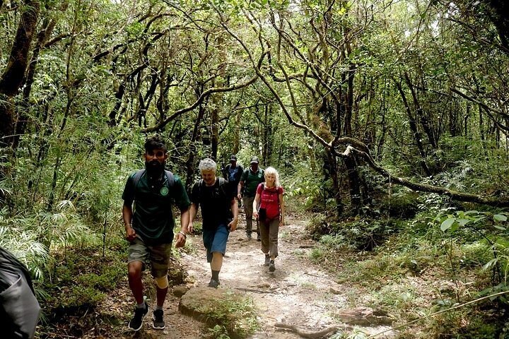 Knuckles Mountain Range